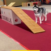 兄の姿に感銘を受けた？