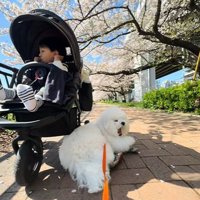 桜の木の下のふたり