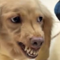 まさかのブチギレ！？