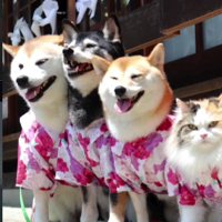 おでかけもいつも一緒