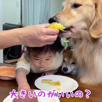 うにくんが挟まれてる…！