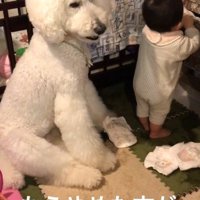 微笑ましい2人のやり取り