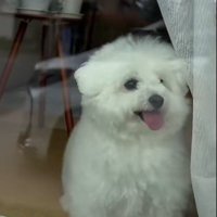 熱烈大歓迎♡