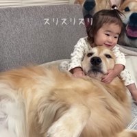 寛大すぎる対応にホッコリ