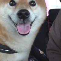 残念なお知らせ…