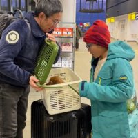 子犬が出てきた！！