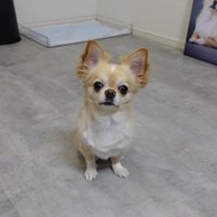 フォトパネルを飾った時のみるくちゃん9