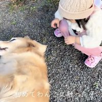 女の子「さわってみたい…」