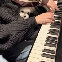 お怒りのころんちゃん