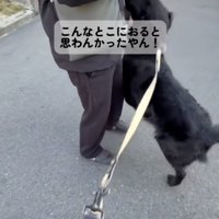 喜び大爆発！