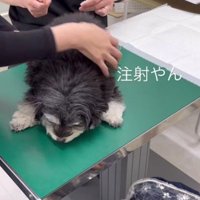 注射も頑張った！