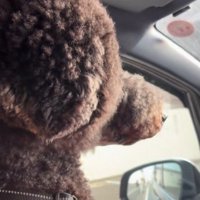 窓の外をキョロキョロ