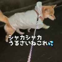 シャカシャカ音が可愛い…♡