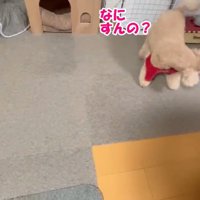 ハーネスを外したら…