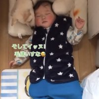キッチンで寝る赤ちゃんと犬1