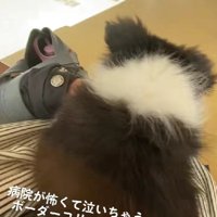 待合室で怖くなってしまい…