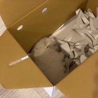 あまりにも無防備
