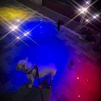 ネオンが輝く道を発見