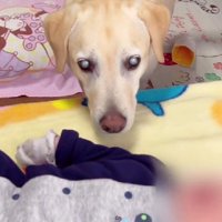 赤ちゃんのベッドへ