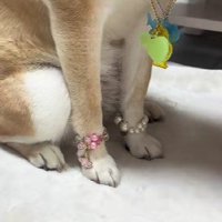 キラキラ可愛い手元に