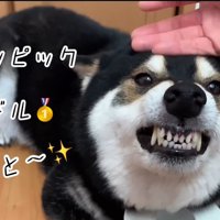 大河くんのトイレットペーパーチャレンジ⑩