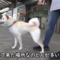 ワクワク♪
