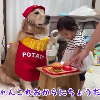 おからちゃんのハンバーガーショップ
