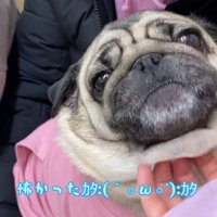 「なんで病院来たの！」