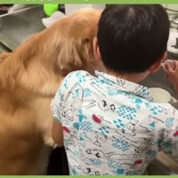 トトちゃんも気になって仕方ない