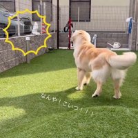 ビニール袋を発見
