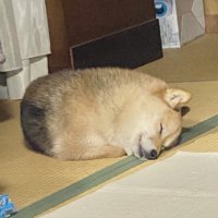 まん丸