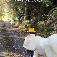 立派に歩けるよ♪