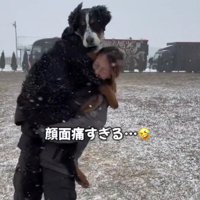 成長記録のNGシーン