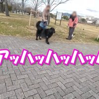 2匹の姿を見て女性たちが爆笑！