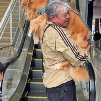 大型犬を抱っこする投稿主