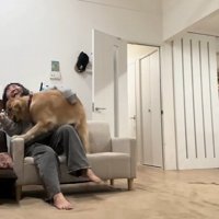 ハナコちゃんとお姉ちゃんの再会8