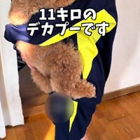 いっきゅうちゃんは…