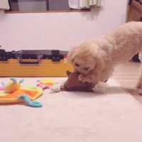 おもちゃを並べているのは…