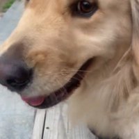 成長が感じられるね♪