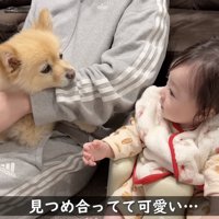 もっと仲良くなれそうな2人