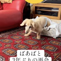 おばあちゃんのとこ、行かなきゃ