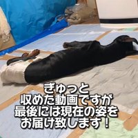 タイソンくんが回復するまで2