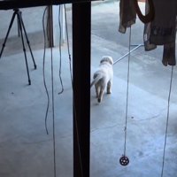 最後は飽きて立ち去りました（笑）