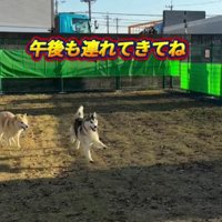 アークちゃんの笑顔が一番の幸せ