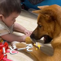 そらちゃんと赤ちゃん4