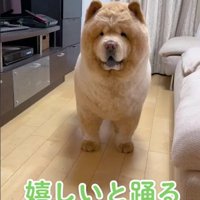 嬉しいと踊る