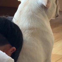 お兄ちゃんかお父さんのよう…！