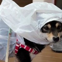 とってもお似合いです！