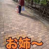 遠ざかる人を見送る犬