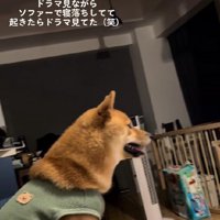 前のめりで見ていたのは…